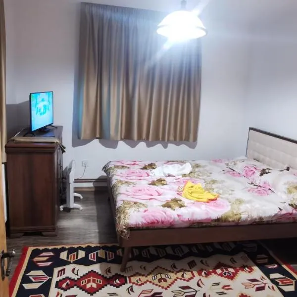 Casa Grigorescu, Cerna, Vaideeni, Valcea, hotel v destinaci Cerna