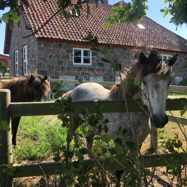Stenhuset - Country House, hotel v destinaci Rodby