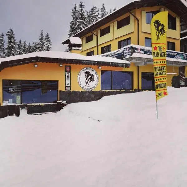 Apartments Black Horse, hotel in Pamporovo