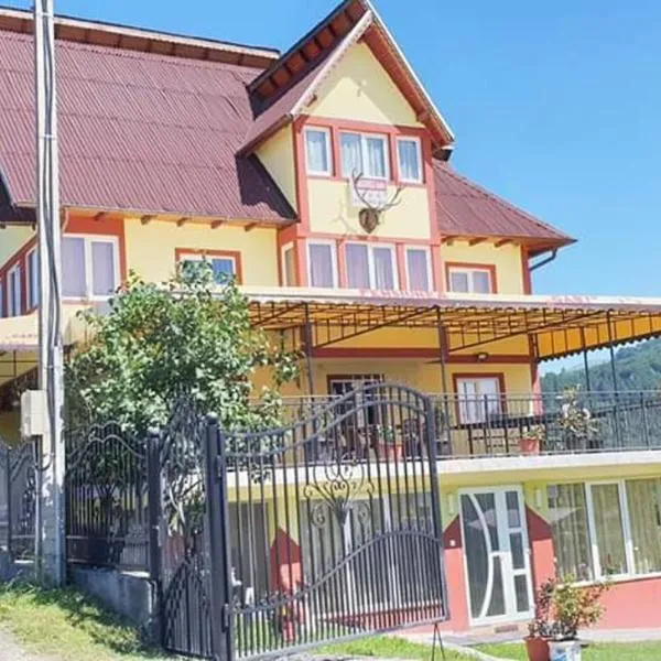 Pensiunea Gaby، فندق في ديمبوفيتشوارا