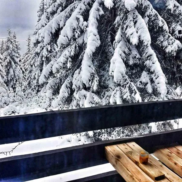 Apartma Rogla Gaber 63, hotel v destinaci Zreče