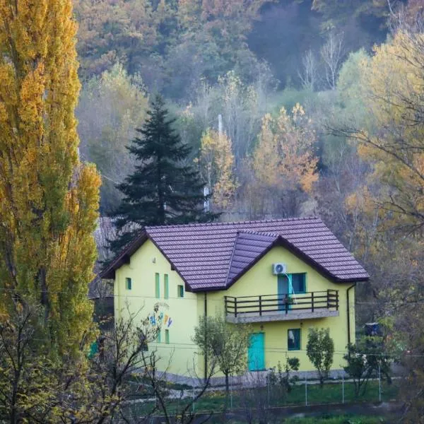 Pensiunea HAPPY, hotel in Schitu-Topolniţei