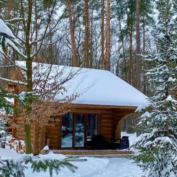 Resort Stariy Prud, hotel en Pylypovychi