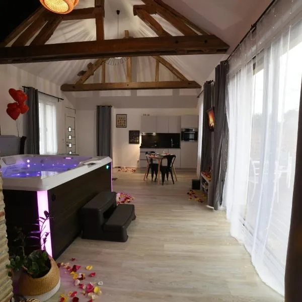 Eaudyssée maison avec SPA privée - Loiret, hotel v destinácii Ladon