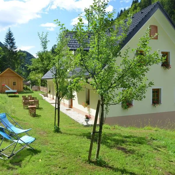 Farmhouse Štiftar, hotel v destinaci Solčava