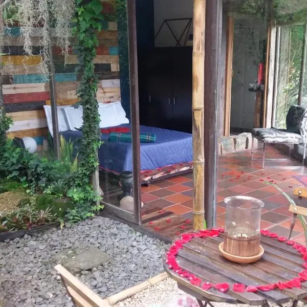 Naturaleza en armonia, hotel San Franciscóban