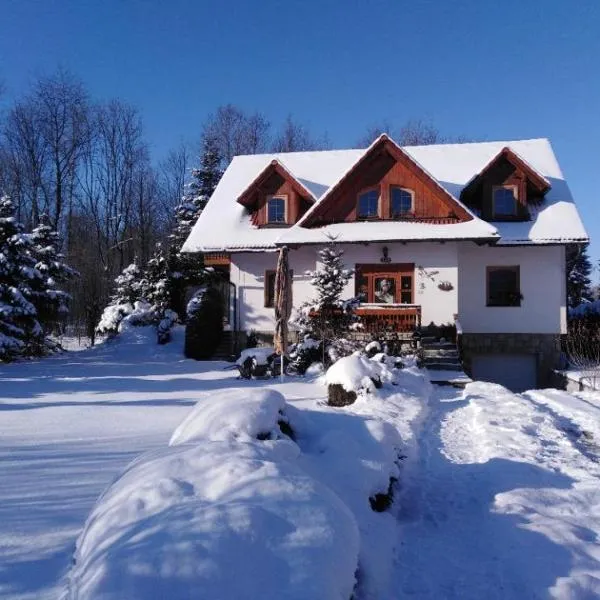 Privát U čápů v Beskydech, Hotel in Pržno