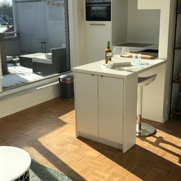 Gezellig 1 slaapkamer appartement nabij het stadscentrum, готель у місті Гасселт