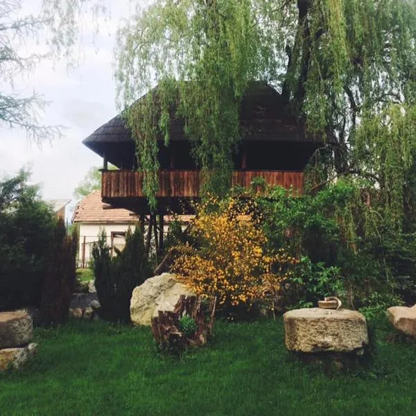 Casa Ott, hotel a Prisaca Dornei