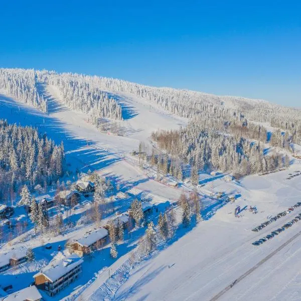 Rinnetupa Apartment, hotel u gradu Tahkovuori