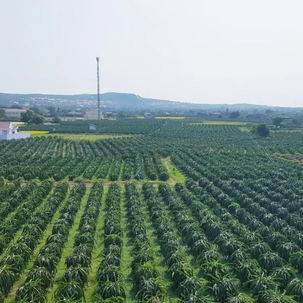 Homestay Thảo Nguyên Xanh, hotel in Láng Văn Kê