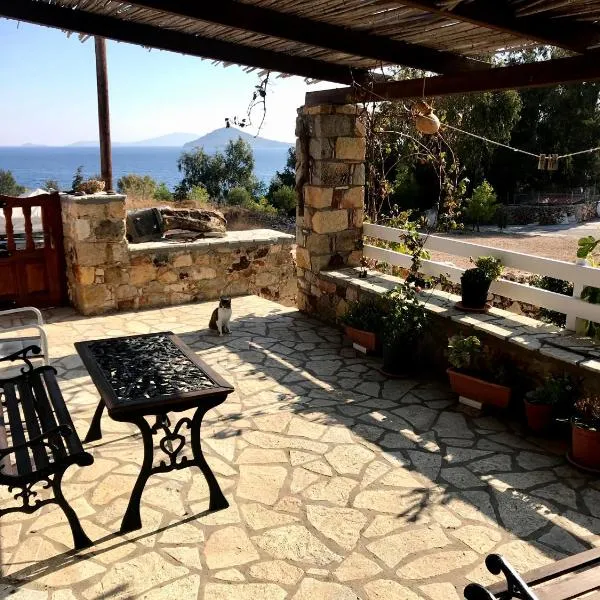 Chris House, hotel in Sapsila