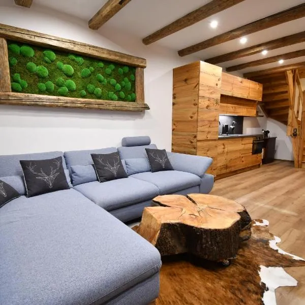Chalet Apartments Maštal, hotel v destinaci Železná Ruda