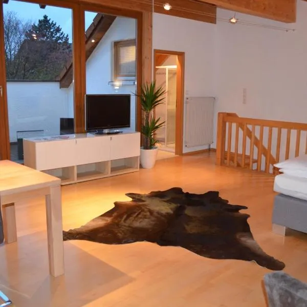 Prinz City Apartments mit Klimaanlagen, hotel di Neckarsulm