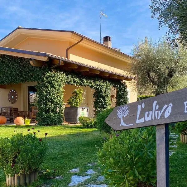 L' Ulivo Bed & Breakfast, hotel v destinaci Teramo