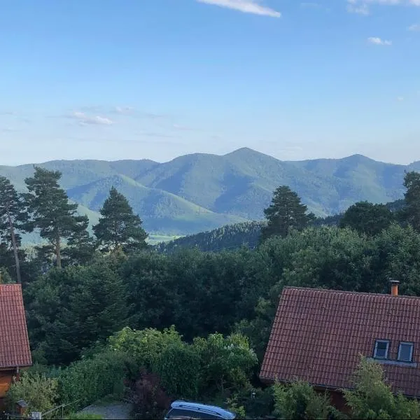 Trois-Épis, vue magnifique, hotel ad Ammerschwihr