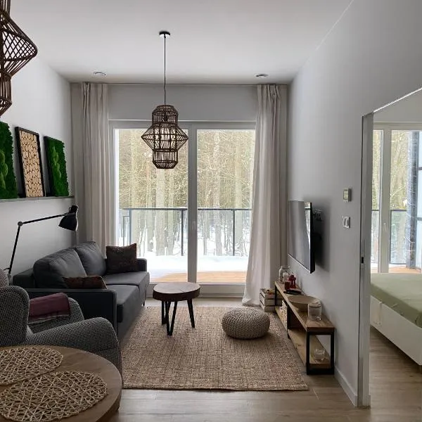 Apartament Nieznany Bór, hotel in Hajnówka