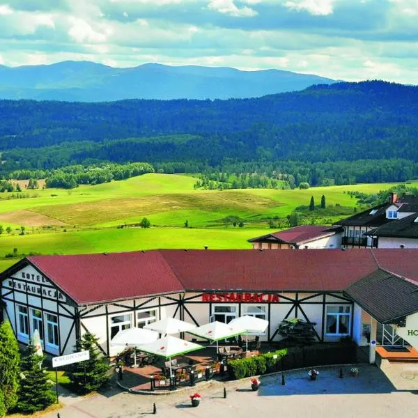 Hotel Kłodzko, hotel in Bardo