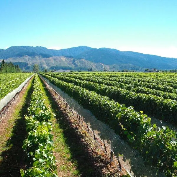 Marlborough Magic - Rapaura Holiday Home, hotel v destinaci Blenheim