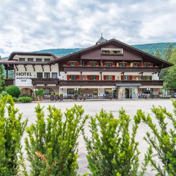 Hotel Sigmunderhof, hotel v destinaci Chienes