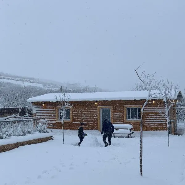 להנות מהטבע, hotel v destinaci Madždal Šams