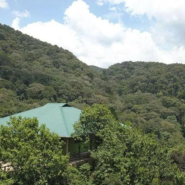 Gorilla Hills Eco-lodge, hotel in Buhoma