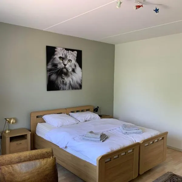 Apartments Zaanse Schans and Amsterdam, hotel em Wormer