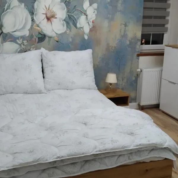 Apartamenty U Iwony Centrum miasta blisko Parku Zdrojowego, hotel v destinácii Kudowa-Zdrój