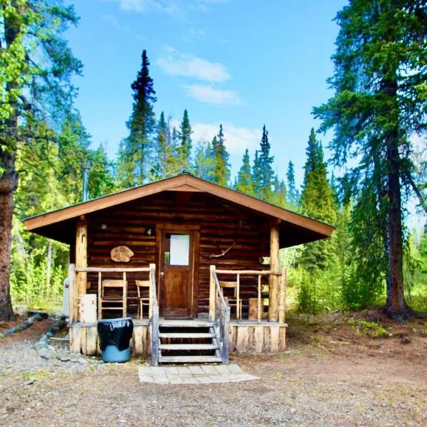 Carlo Creek Cabins, hotel in Cantwell