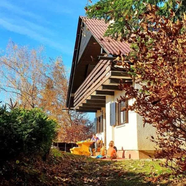 Pet & Family Friendly House Viktorija - house near Golica with Triglav view, hotel v mestu Jesenice