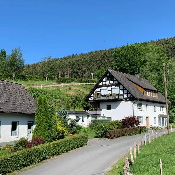 Ferienwohnung Dünnebacke, hotel en Schmallenberg