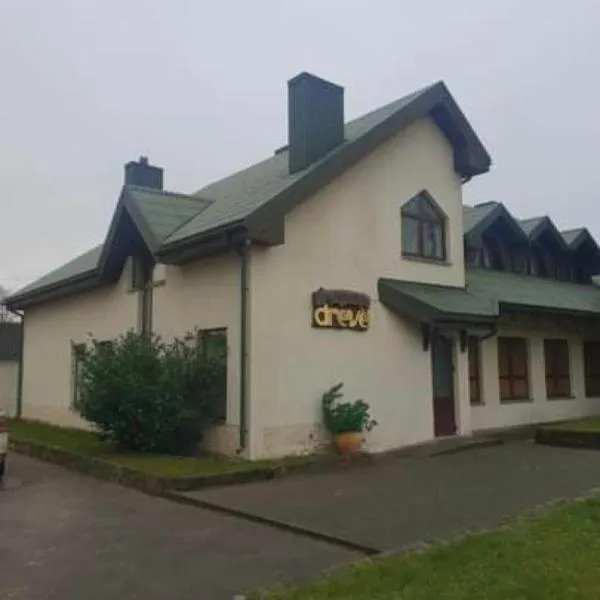 Drevė, hotel in Skaistgirys