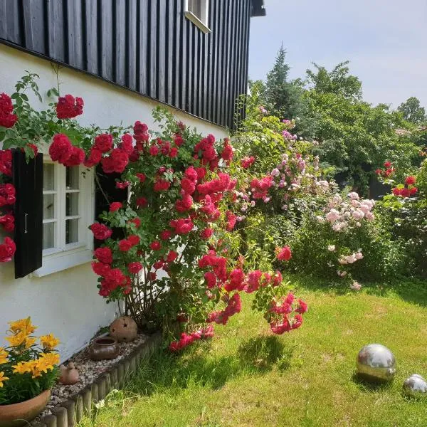 Im Dreiländereck - DOM PRZY TRZECH GRANICACH – hotel w mieście Leśna