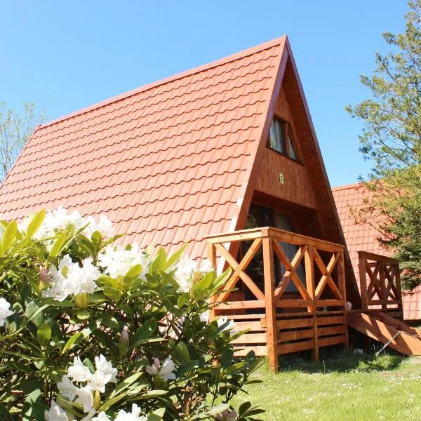 Ośrodek Wypoczynkowy Camping nr 156，羅威的飯店