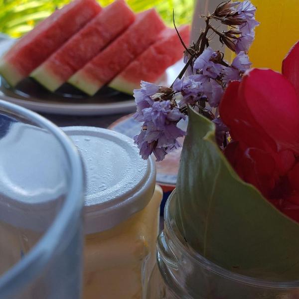 Elephant GuestHouse Beira Mar - Suítes com Café da Manhã - Foto 4