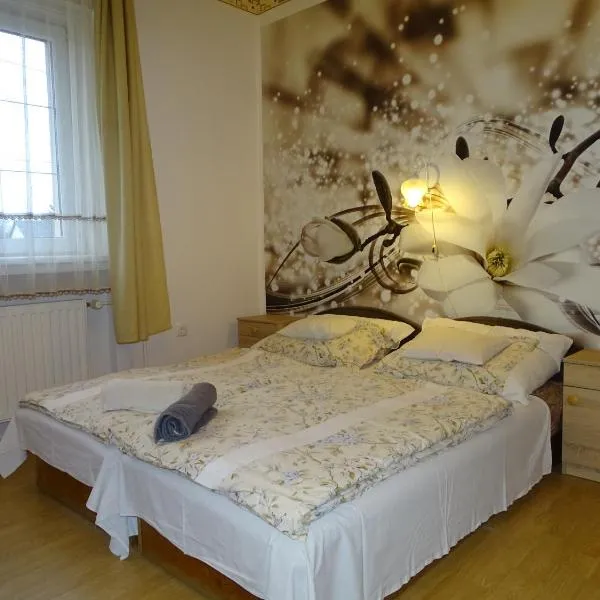 Vendvidék Kapuja Vendégház, hotel in Szentgotthárd