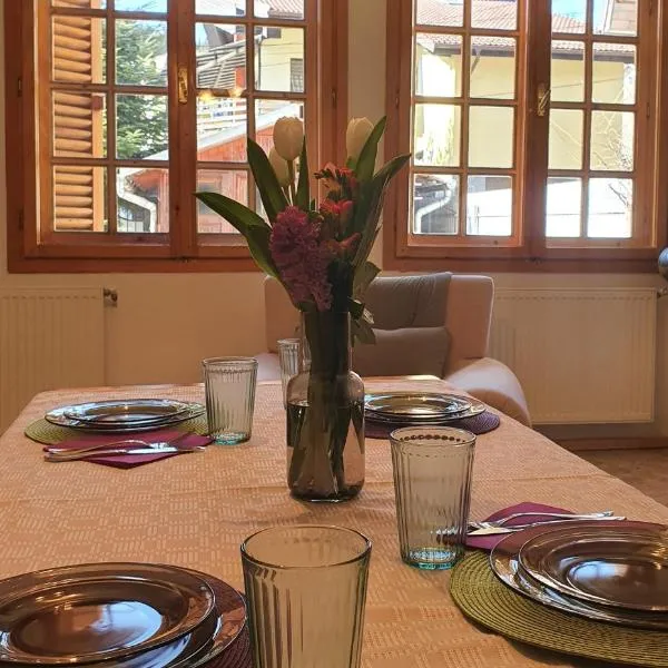 Vila Panselutelor 6, hotel di Sinaia