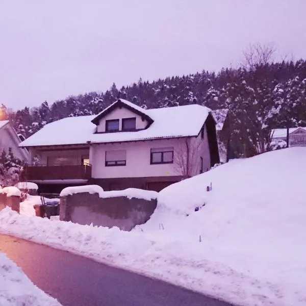 An der grünen Donau - Ferienwohnung, Monteurwohnung, wir bieten keine Parkplätze, Verpflegung oder Tücher an, Parken NUR gegenüber auf der Straßenseite, hotel v destinaci Immendingen