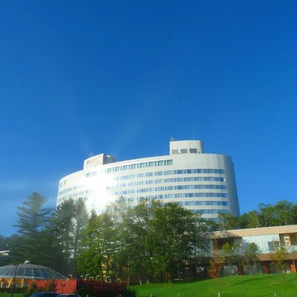 Shin Furano Prince Hotel โรงแรมในฟุระโนะ