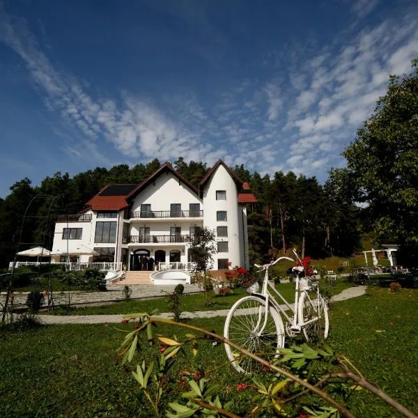 Pensiunea Baroc, hotel in Purcăreni