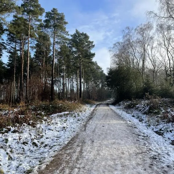 The Boot at Melbourne, hotel a Derby