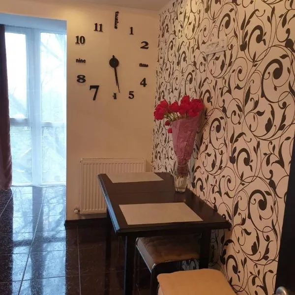 Elena's Holiday Apartment, hotel en Kamianets-Podilskyi