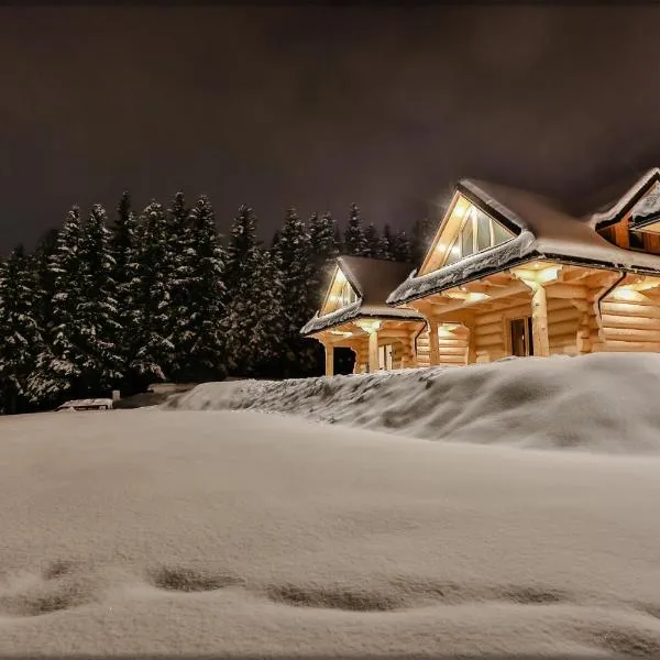 Zdrojowy Gościniec - domki Rabka-Zdrój, hotel in Rabka