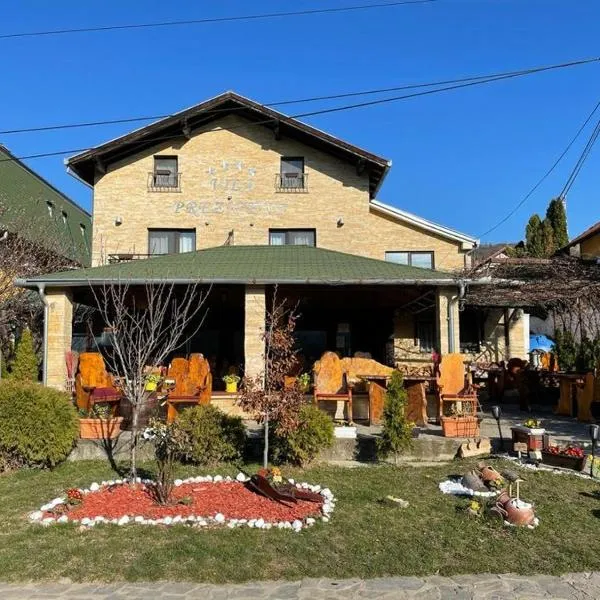 Vila Prezident, hotel in Sremski Karlovci