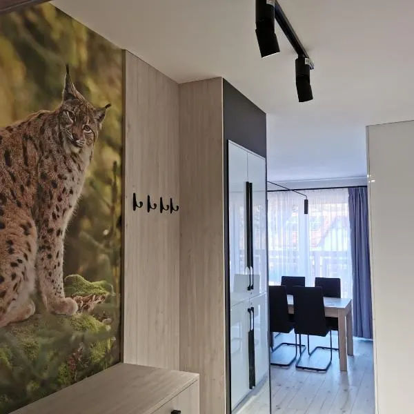 Apartament Ryś、シュクラルスカ・ポレンバのホテル