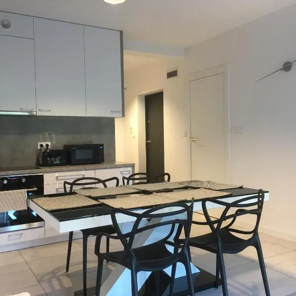 Apartament Fibra Grande, hotel in Rybnik