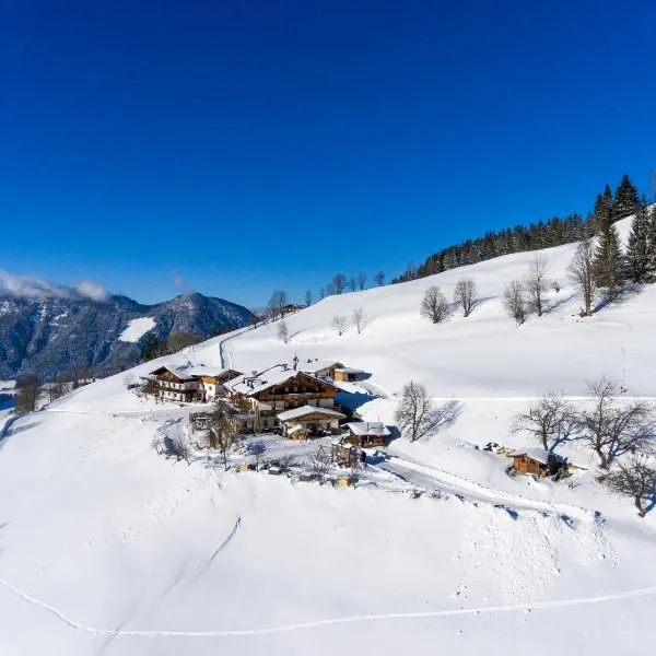 Alpengasthof Gruberhof, hotel v destinaci Söll