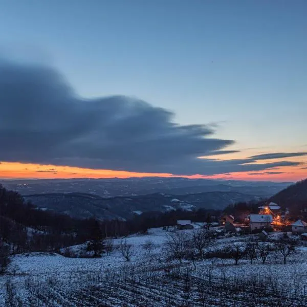 Irinin Vidikovac, hotell i Rudnik