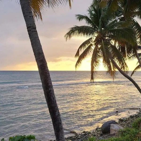 Seaside Serenity Suite, hotel v destinaci Humacao