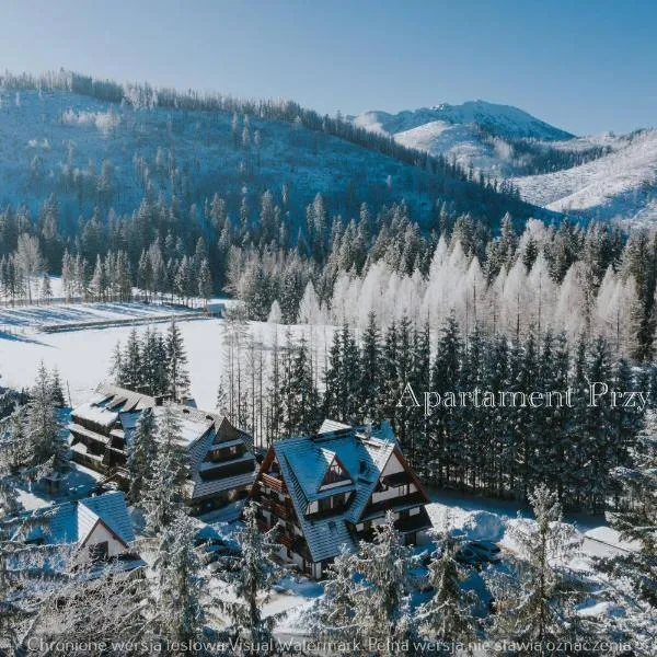 Kościelisko Apartament Przy Dolince, hotell sihtkohas Kościelisko